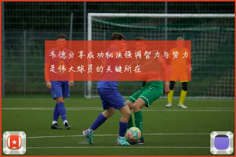 韦德分享成功秘诀强调智力与努力是伟大球员的关键所在